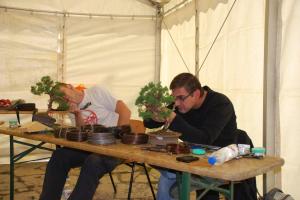 New Talent Hungary 2012 2