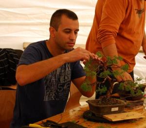 New Talent Contest Hungary 2012 3