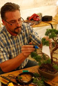 New Talent Contest Hungary 2012 