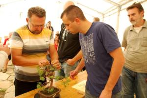 New Talent Contest Hungary 2012 7