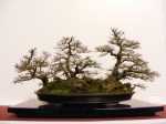 eba_2013_audincourt_02