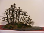 eba_2013_audincourt_03