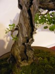 eba_2013_audincourt_06
