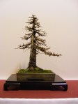 eba_2013_audincourt_13