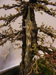 eba_2013_audincourt_14