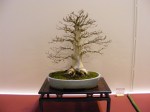 eba_2013_audincourt_17