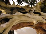eba_2013_audincourt_23