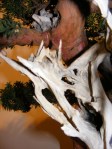 eba_2013_audincourt_24