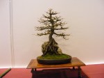 eba_2013_audincourt_25