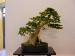eba_2013_audincourt_26