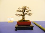 eba_2013_audincourt_28