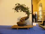 eba_2013_audincourt_32