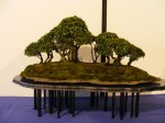eba_2013_audincourt_35