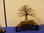 eba_2013_audincourt_39