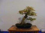 eba_2013_audincourt_40