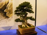 eba_2013_audincourt_43