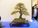 eba_2013_audincourt_48