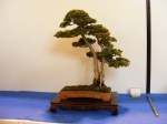 eba_2013_audincourt_55