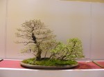 eba_2013_audincourt_60