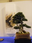 eba_2013_audincourt_72