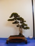 eba_2013_audincourt_73