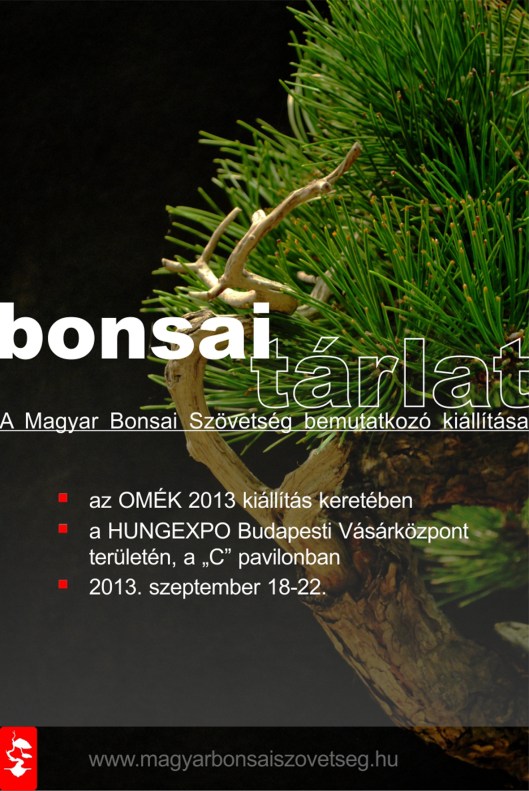 bonsai tárlat_2013.09.09