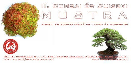bonsai_suiseki_mustra_2